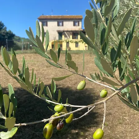 Casa Contento 3* Arcevia