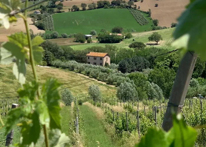 Casa Contento Bed & Breakfast